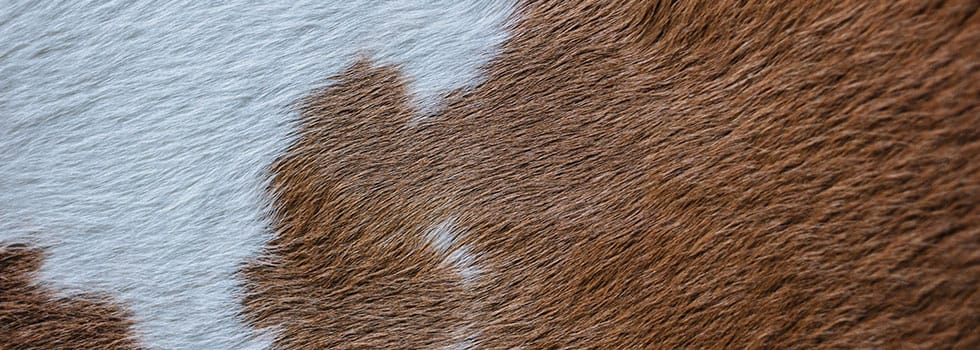 natural cowhide leather